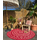 Buitenkleed rond - Roze Marsala