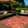 Buitenkleed PET Peacefull Pink