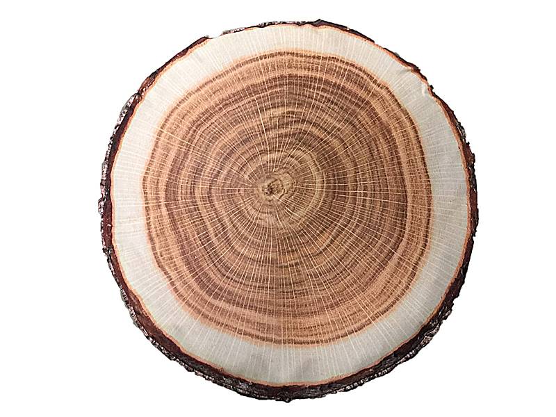 Boomstam poef voor buiten in de tuin.