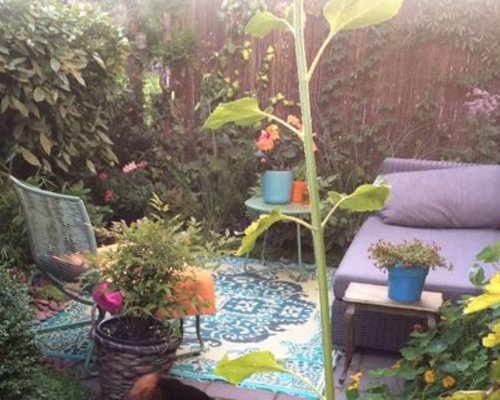 Buiten vloerkleed als buitenkleed in de tuin