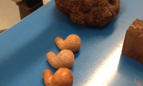 De pijpverzamelaar of tabaksliefhebber?? Wie ben ik??