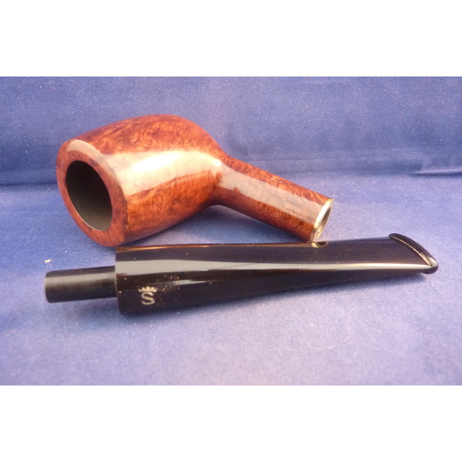 Pijp Stanwell Duke Brown Polish 03