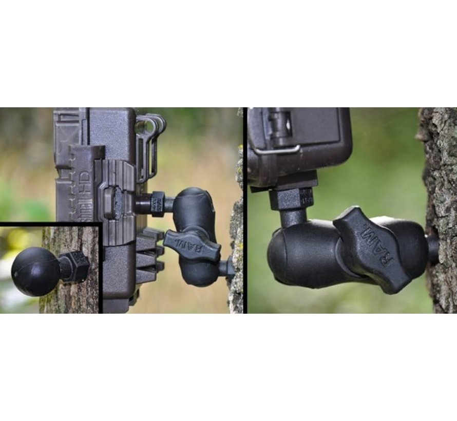B-Kogel (25 mm) Tough Ball met Houtschroef - RAP-B-379U-25201L