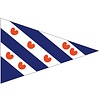 Talamex puntvlag Friesland
