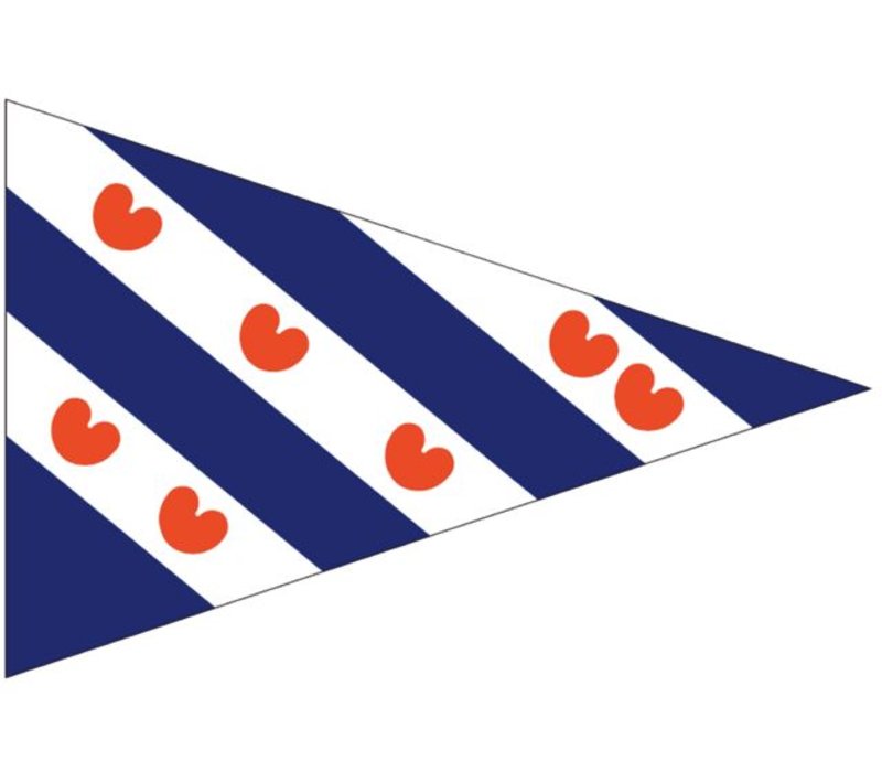puntvlag Friesland