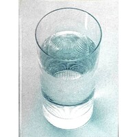 Het drinkglas