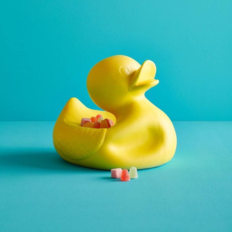 Mr. Ugly Duckling