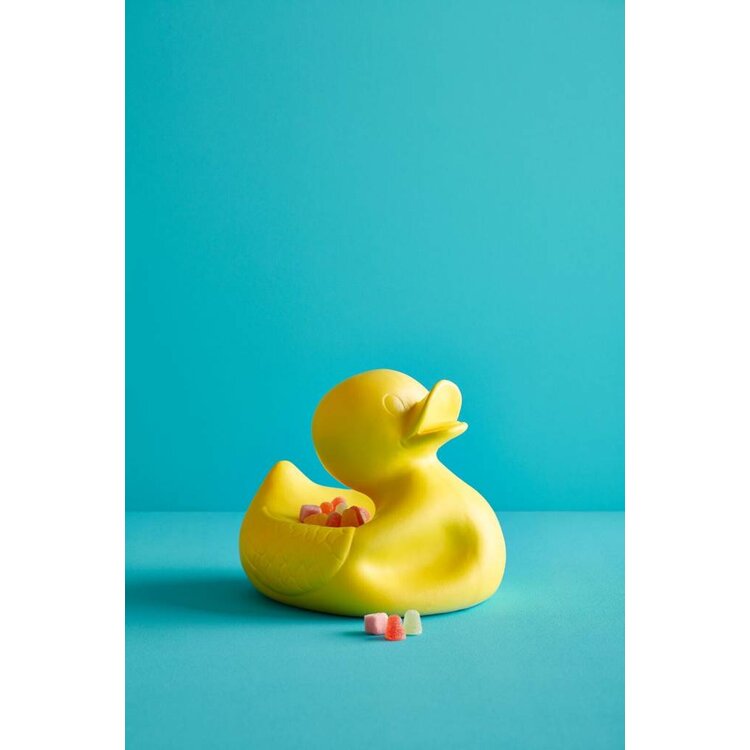 Mr. Ugly Duckling