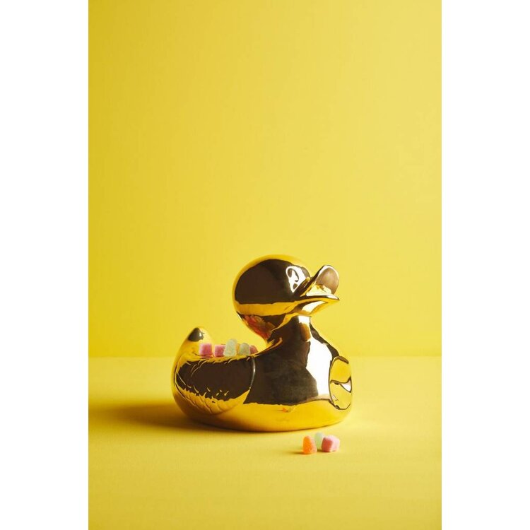 Mr. Ugly Duckling