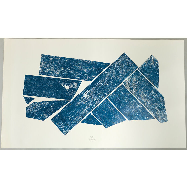 Carel Visser Grafiek / Prints