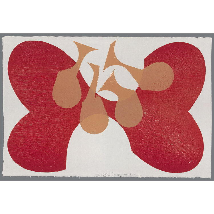 Carel Visser Grafiek / Prints
