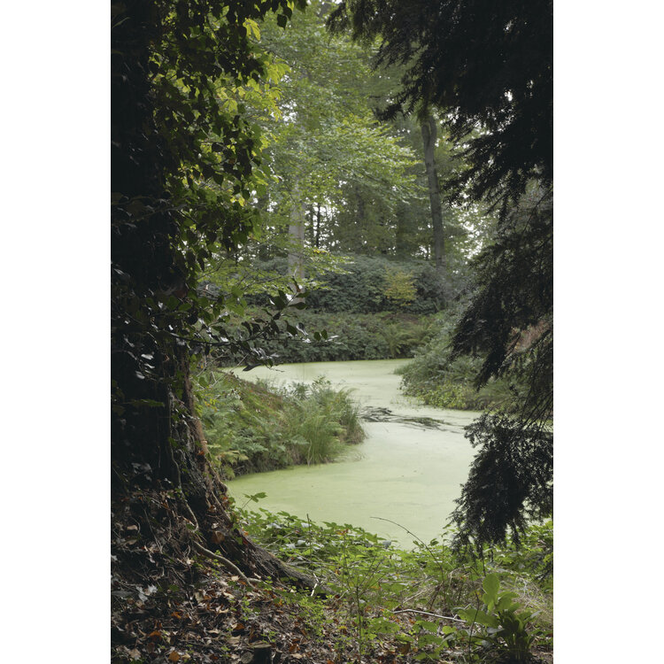 Groene Parels in Overijssel