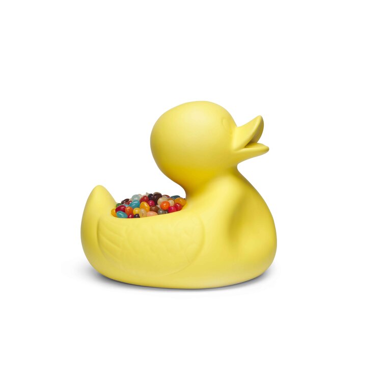Mr. Ugly Duckling
