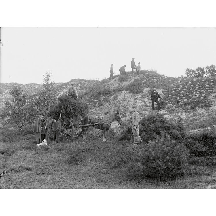 120 Jaar Staatsbosbeheer