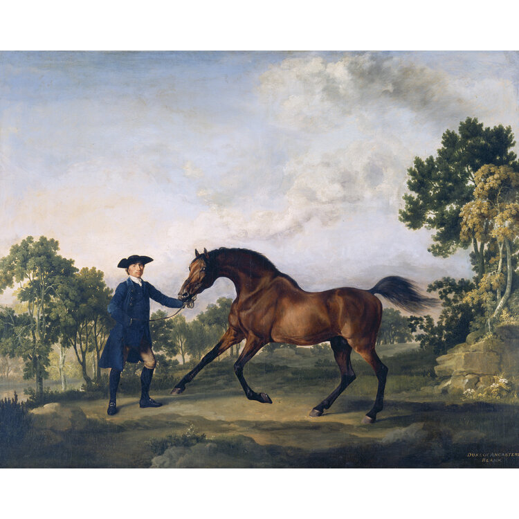 George Stubbs – De man, het paard, de obsessie