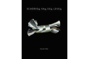 Scherven van een leven - Paul de Vilder