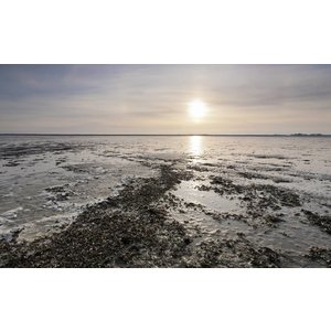 De Wadden - Landschap in beweging