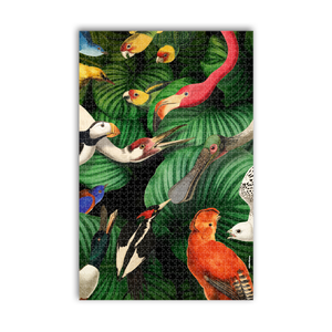 Puzzel, Vogelpracht, Teylers Museum