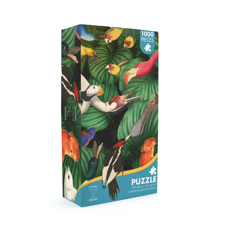 Puzzel, Vogelpracht, Teylers Museum