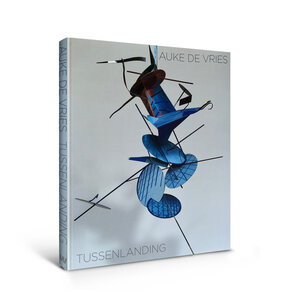 Auke de Vries - Tussenlanding