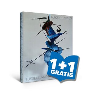 Auke de Vries - Tussenlanding