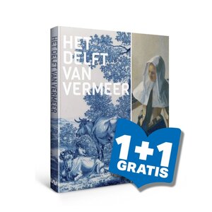 Het Delft van Vermeer