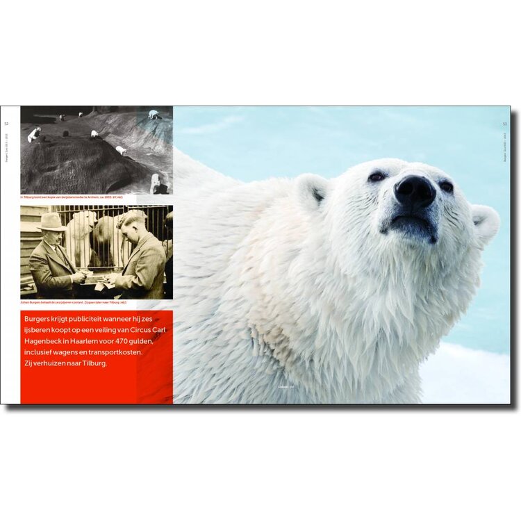 Burgers Zoo 1913-2013