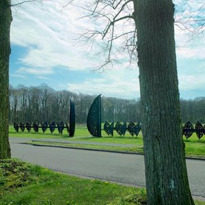 Ids Willemsma