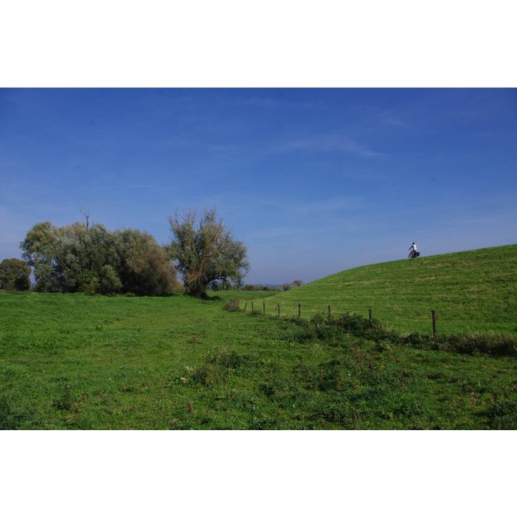 De IJssel - Jong en slingerend