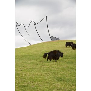 WONDERTUINEN - de mooiste beeldentuinen van de wereld