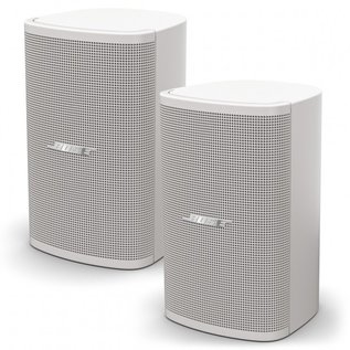 Bose DesignMax DM2S