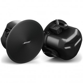 Bose DesignMax DM3C