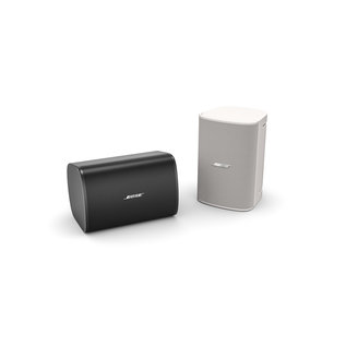 Bose DesignMax DM5SE