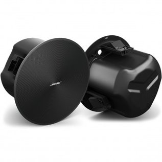 Bose DesignMax DM6C