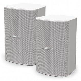 Bose DesignMax DM6SE