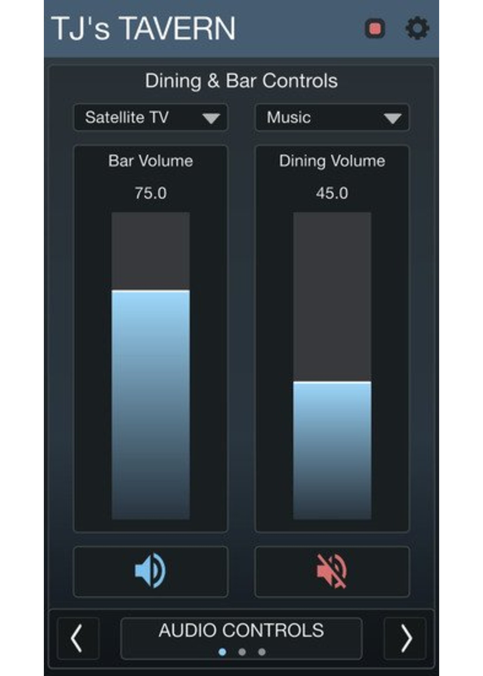 Bose ControlSpace Remote