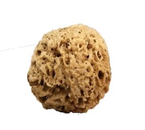 Natural Intimacy Eco Bath Sponge Unbleeched Natural Intimacy Eco Bath Sponge Unbleeched