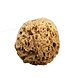 Natural Intimacy Eco Badeschwamm Ungebleicht Natural Intimacy Eco Badeschwamm Ungebleicht