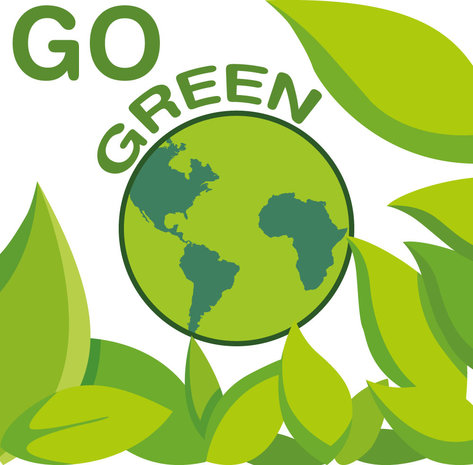 Use Minimal Packaging Materials