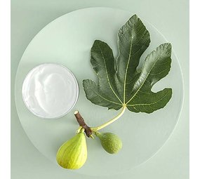 WA:IT B-SOFFICE Körper Balsam • 3 WA:IT B-SOFFICE Körper Balsam • 3