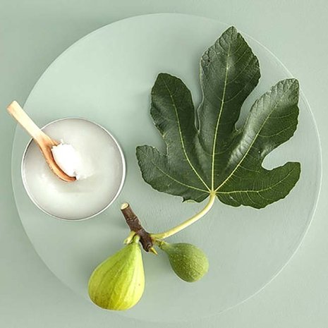 WA:IT Ante Gommage corporel naturel