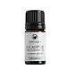 Odylique Eucalyptus essential oil Odylique Eucalyptus essential oil