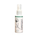 Odylique Citrus Natural Deodorant Odylique Citrus Natural Deodorant