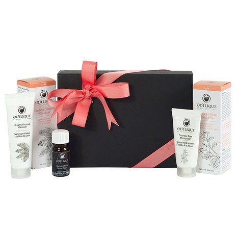 Odylique Rose Geschenk- & Reise-Set Odylique Rose Geschenk- & Reise-Set