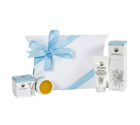 Odylique Gardener's Recue Set Odylique Gardener's Recue Set