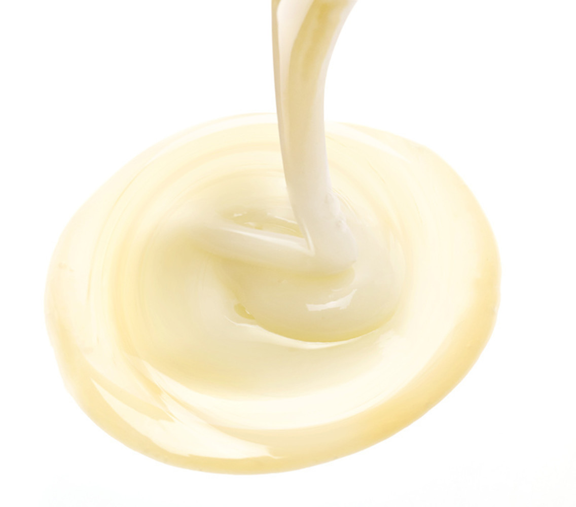 Leonor Greyl Natural Shampoo for Dry and Damaged Hair Leonor Greyl Natural Shampoo for Dry and Damaged Hair