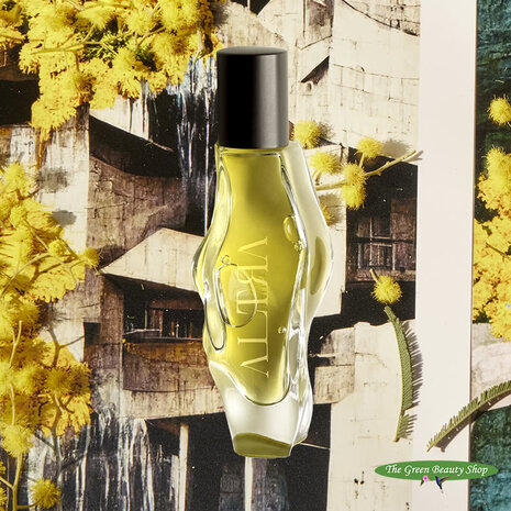 ALTRA Dualist ALTRA Dualist