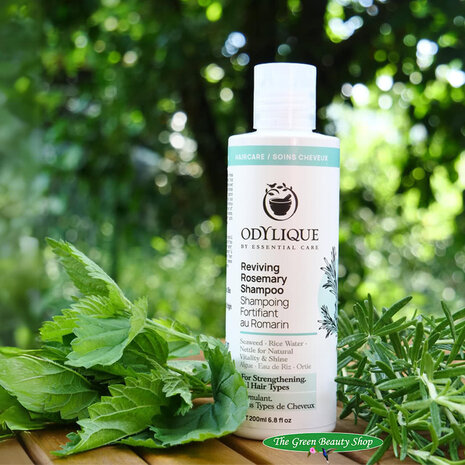 Odylique Reviving Rosemary Shampoo