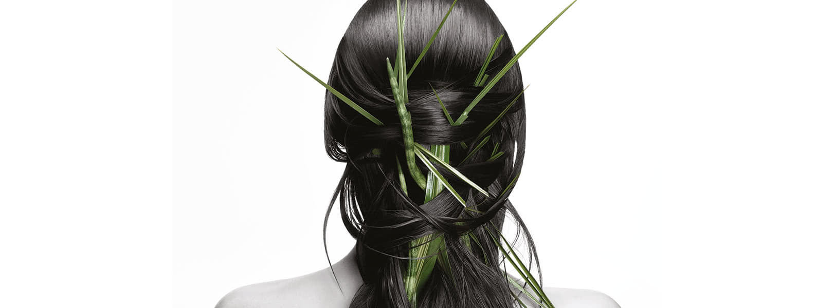 Haarmaske ohne Sulfate? Mythen vs. Fakten