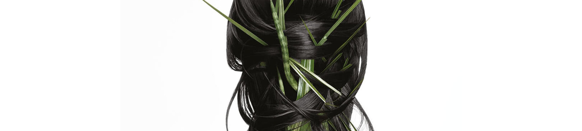 Hair mask without sulphates? Myths vs Facts